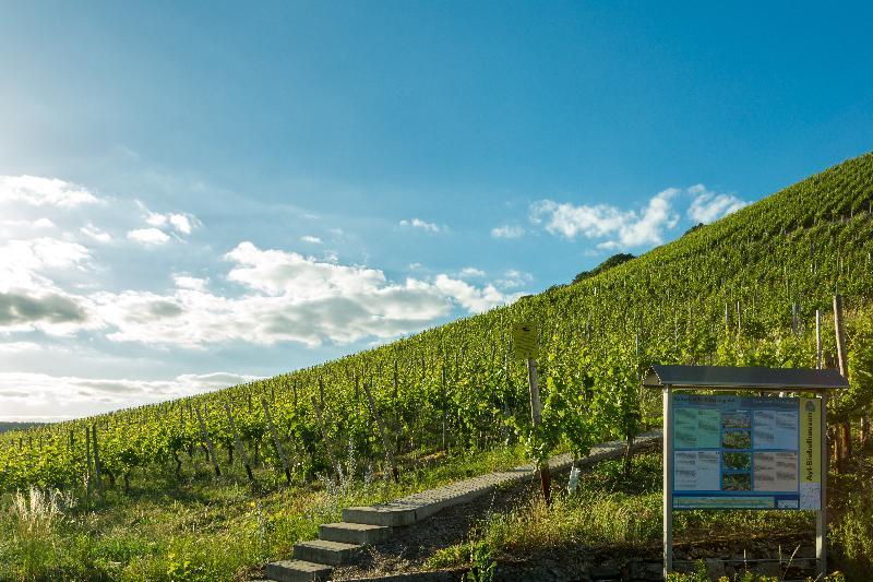 Weinhotel Ayler Kupp Экстерьер фото